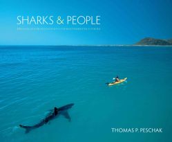 Sharks & People Exploring Our Relationship With the Most Feared Fish