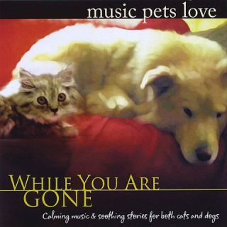 Music Pets Love While You Are Gone