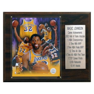 NBA 12 x 15 in. Magic Johnson Los Angeles Lakers Career Stat Plaque   Collectible Wall Art & Photography