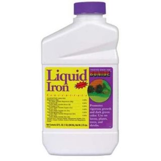 Bonide Products Liquid Iron Concentrate 1 Quart   299