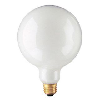 Bulbrite White Incandescent Globe Light Bulb   12 pk.   Light Bulbs