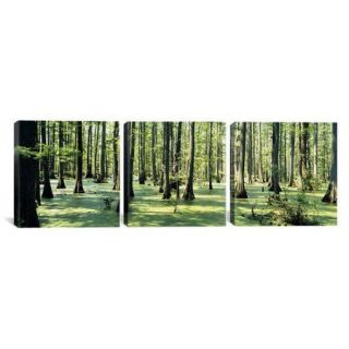 iCanvas Photography Cypress Trees, Shawnee National Forest, Illinois 3 Piece on Wrapped Canvas Set
