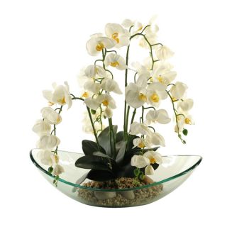 Silks Cream Phael Orchids in Large Glass Bowl   17113907