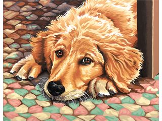 Paint By Number Kit 11"X14" Dog Tired