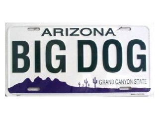 AZ Arizona Big Dog State Background Aluminum License Plate   SB LP1077