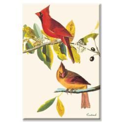 John James Audubon Cardinal Canvas Art  ™ Shopping   Top