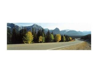 Road Alberta Canada Poster Print by Panoramic Images (36 x 12)