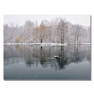 Trademark Art Winter Goose by Kurt Shaffer Photographic Print on