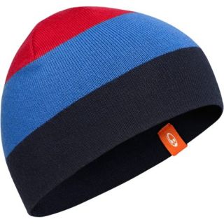 Icebreaker Oasis Beanie Hat (For Little and Big Kids) 8695T 42