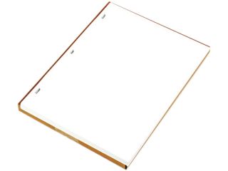 Wilson Jones 903 10 Ledger Sheets for Corporation and Minute Book, White, 11 x 8 1/2, 100 Sheets