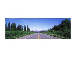 George Parks Highway AK Poster Print by Panoramic Images (36 x 12)
