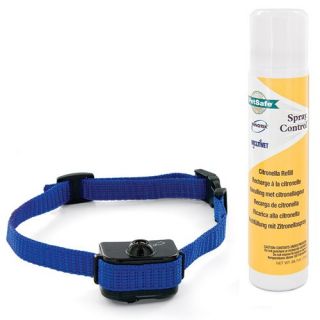 PetSafe PBC00 11283 Little Dog Spray Bark Control   Dog Collars & Leashes