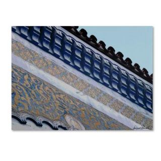 Trademark Fine Art 18 in. x 24 in. Rooftop Canvas Art MP0031 C1824GG