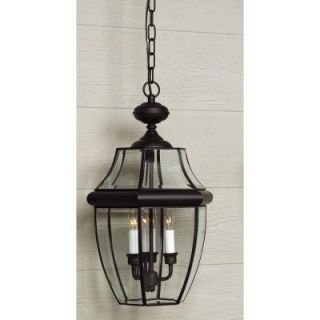 Home Decorators Collection Newbury 3 Light Mystic Black Outdoor Hanging Lantern 0685610230