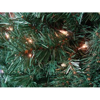 Northlight Seasonal 6 Potted Royal Fir Artificial Christmas Tree with
