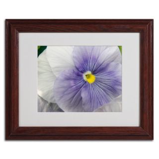 Untainted Purity by Monica Fleet Framed Photographic Print