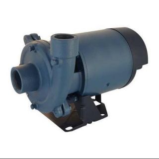 Flint & Walling 13 1/2, Booster Pump, CJ103051