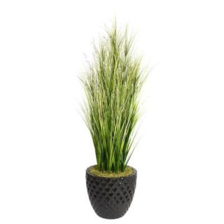 Laura Ashley 66 in. Tall Onion Grass with Twigs in 16 in. Fiberstone Planter VHX114205