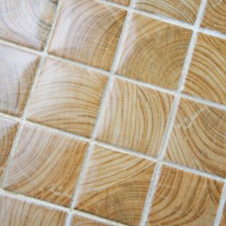 EliteTile Thicket 1.85 x 1.85 Porcelain Mosaic Floor and Wall Tile