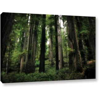 ArtWall Kevin Calkins "Among the Giants" Gallery Wrapped Canvas