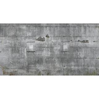 Washington Wallcoverings 120 in. H x 219 in. W Distressed Multi Colored Faux Concrete Wall Mural 445503