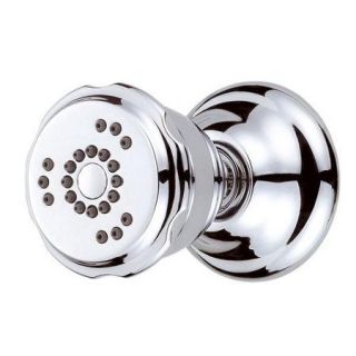 Danze Two Function Wall Mount Volume Control Body Spray Shower