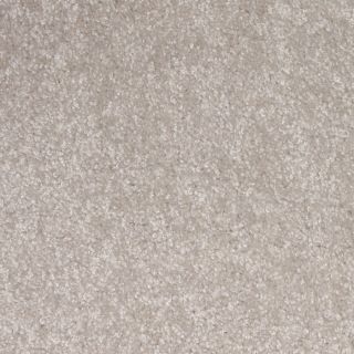 STAINMASTER Golden Rule Gray Sand Textured Indoor Carpet