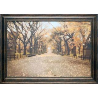 Central Park I by Timothy Wampler Framed Photographic Print by North