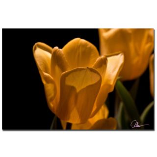 Yellow Blooms VI by Martha Guerra Photographic Print on Canvas