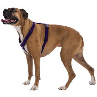 Dog Gone Smart Wear Dog Harness   1" 4897F 47