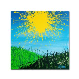Trademark Fine Art Sun Valley by Roderick Stevens Painting Print on