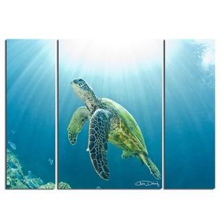 Christopher Doherty Sea Turtle Canvas Wall Art (3 Piece)