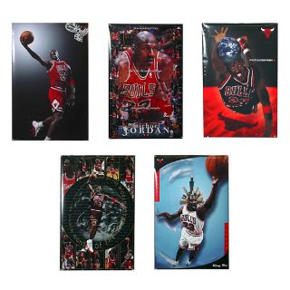 Michael Jordan Bulls Five Poster Set  ™ Shopping   Great