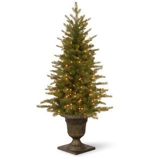 National Tree Company 4 ft. Nordic Spruce Entrance Tree with Clear