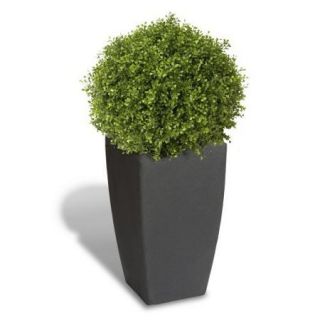 Algreen Madison Planter