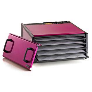 Radiant Raspberry 5 Tray Dehydrator with Timer Sweet Treats at 