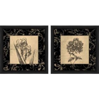 Sepia and Charcoal Flowers Floral Wall Art, Set of 2