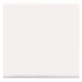 American Olean Matte Designer White Matte Ceramic Bullnose Tile (Common 6 in x 6 in; Actual 6 in x 6 in)