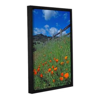 ArtWall Poppies And The Fence by Kathy Yates Floater Framed Photographic Print on Gallery Wrapped Canvas