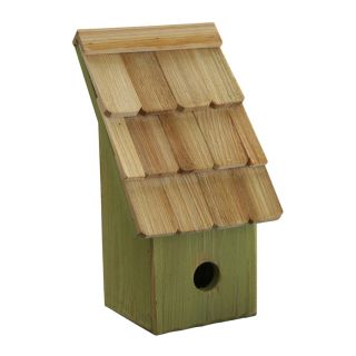 Heartwood 6 in W x 11 in H x 5 in D Green Apple Bird House