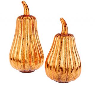 Set of 2 Mercury Glass Gourds with Timer —