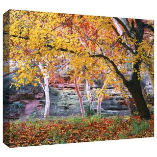 Steve Ainsworth Another Kekua Sunrise Gallery Wrapped Canvas