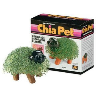 As Seen on TV Chia Pets Chia Puppy