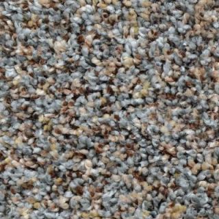 Home Decorators Collection Powder Springs III   Color Amherst Twist 12 ft. Carpet H5025 2512 1200 AB