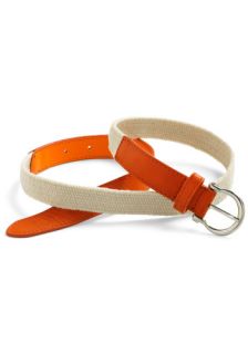Flat Hunting Belt in Orange  Mod Retro Vintage Belts