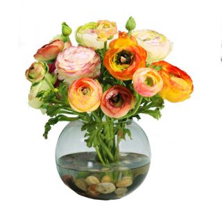 Ranunculus in Glass Ball Vase by Jane Seymour Botanicals