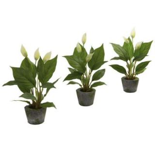Nearly Natural Spathyfillum with Cement Planter (Set of 3) 4974 S3