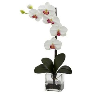 Nearly Natural Giant Phalaenopsis Orchid with Vase Arrangement in White 1324 WH