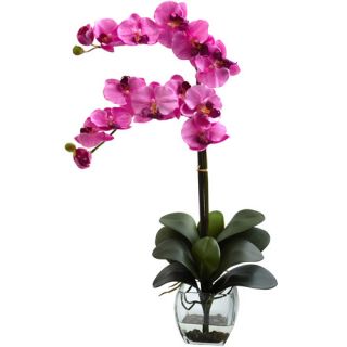 Nearly Natural Double Phalaenopsis Orchid with Vase Arrangement, Mauve