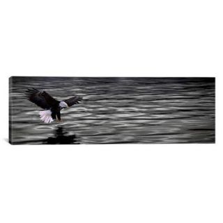 iCanvas Panoramic Eagle over Water Photographic Print on Canvas